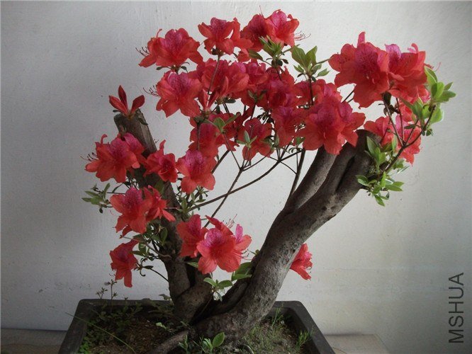 ��Ƭ 054.jpg