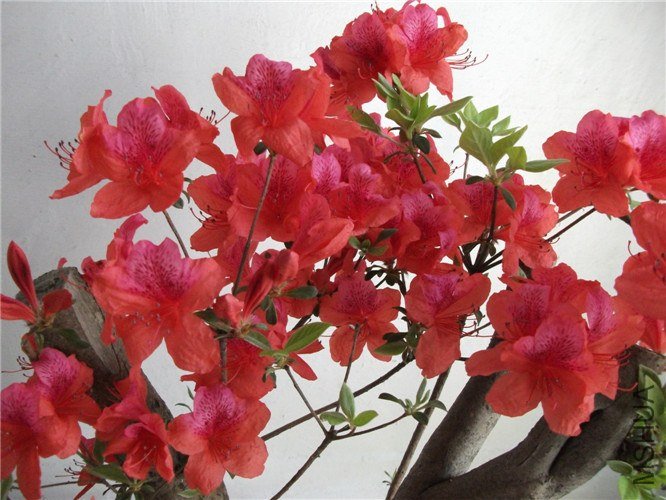 ��Ƭ 055.jpg