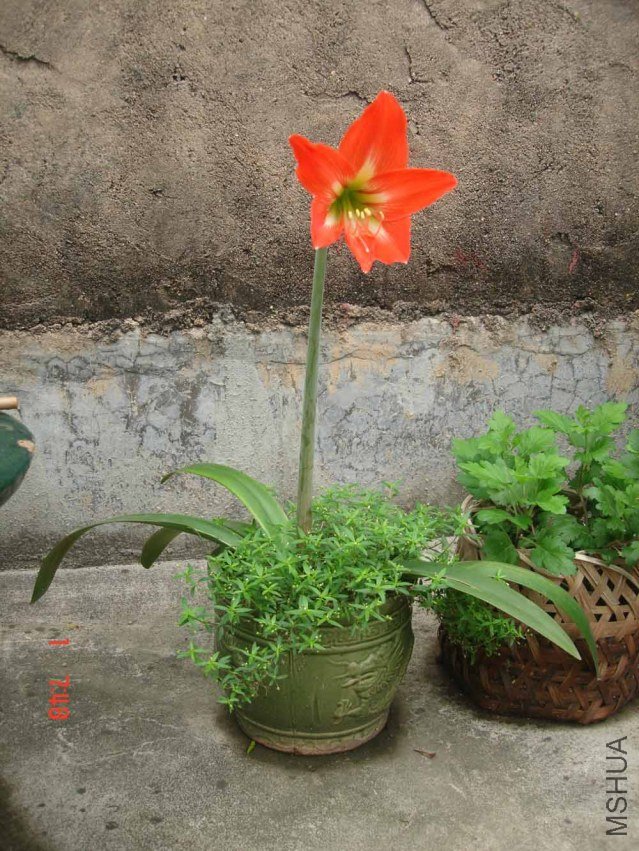 DSC01086.JPG