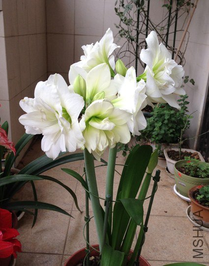 2013������.jpg