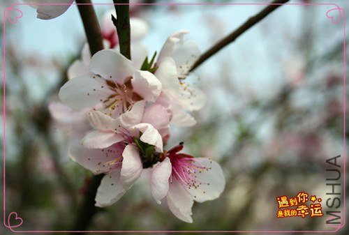 ��Ƭ 092_����.jpg