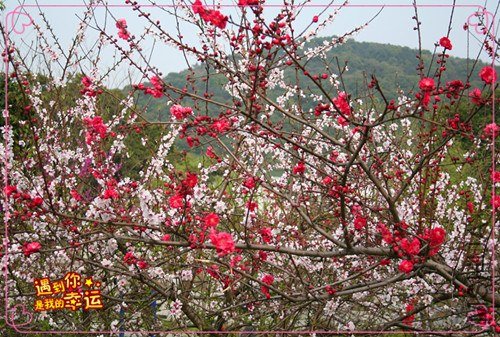 ��Ƭ 090_����.jpg