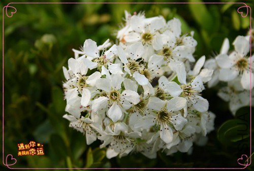 ��Ƭ 119_����.jpg