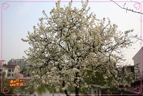 ��Ƭ 112_����.jpg