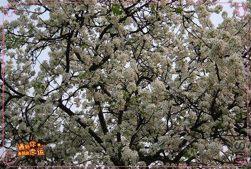 ��Ƭ 114_����.jpg