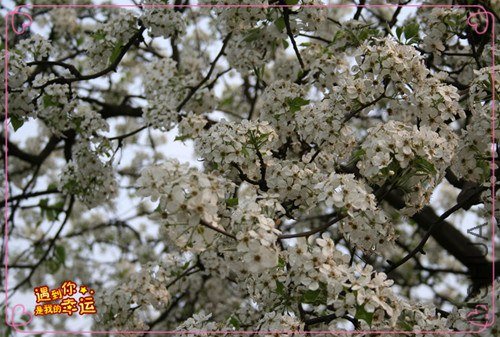 ��Ƭ 116_����.jpg