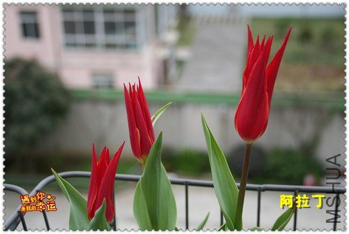 ��Ƭ 024_����.jpg