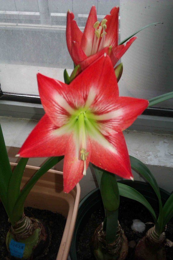 IMAG0088_����.jpg