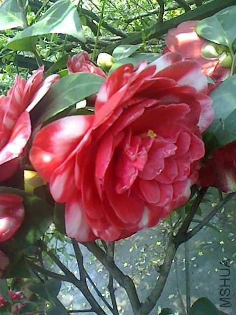 IMG0319130502.jpg