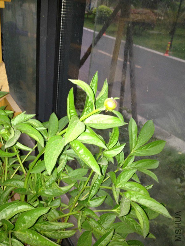 �������о�����С