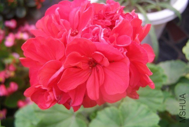 %KHIPHYA7T`1IU_8WLAU{5A.jpg