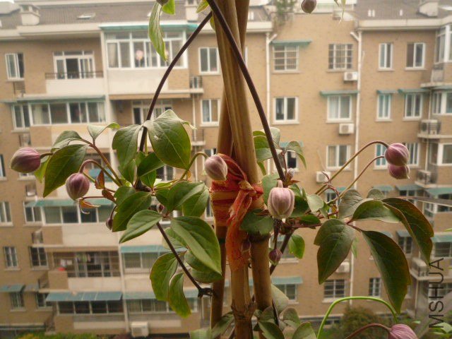 P1080044.JPG