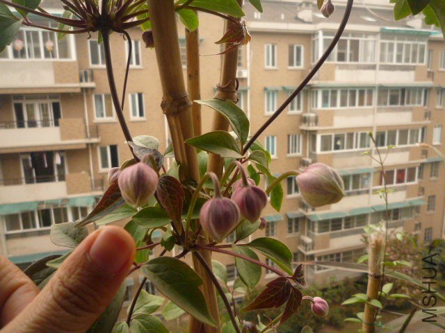 P1080047.JPG