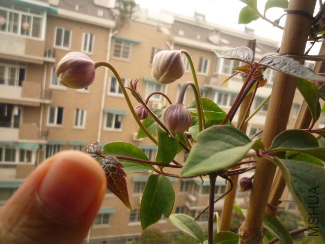 P1080048.JPG