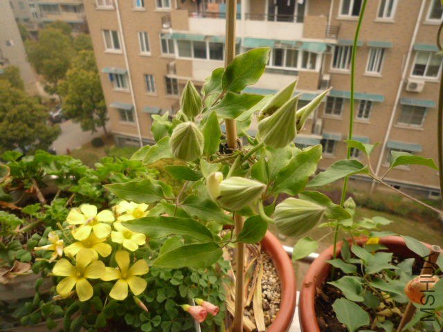 P1080043.JPG