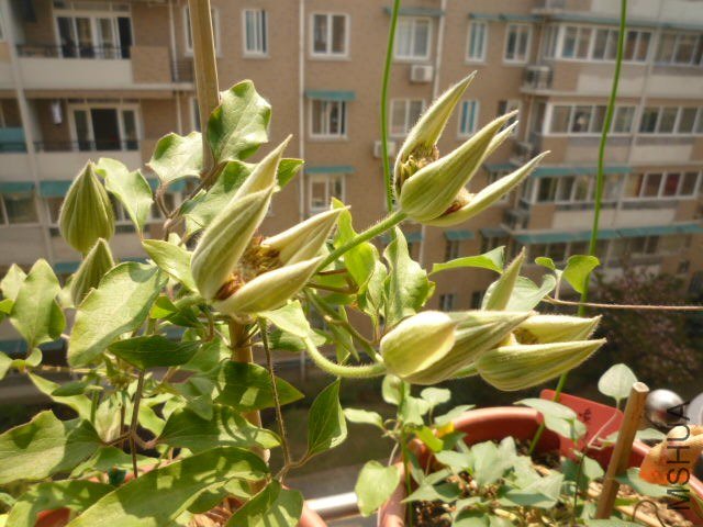 P1080063.JPG