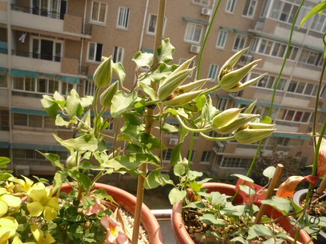 P1080064.JPG