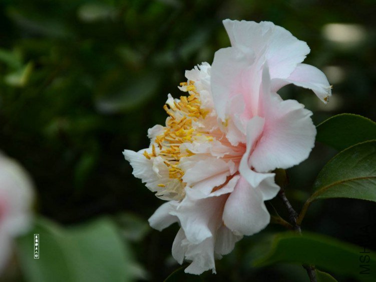 ��ĵ��201304020010.jpg
