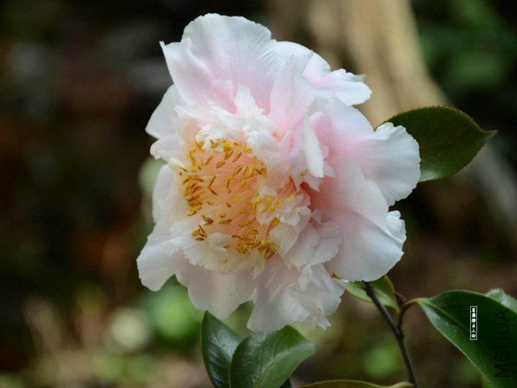 ��ĵ��201304020013.jpg