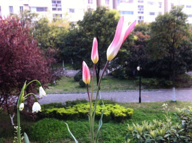 ���2-1_1024_764_70.jpg