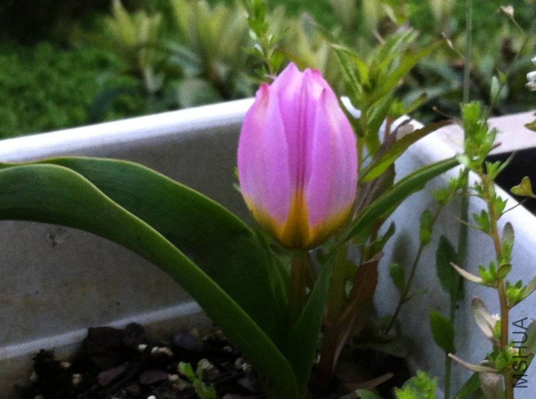 ���3_1024_764_70.jpg