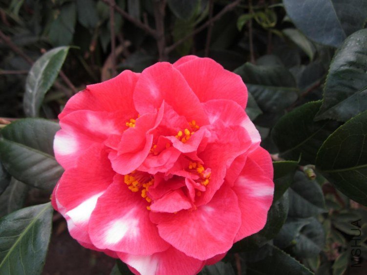 ��Ƭ 091.jpg