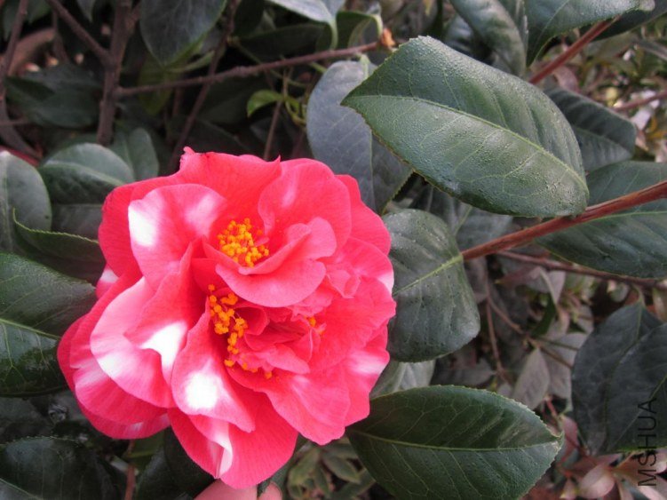 ��Ƭ 092.jpg