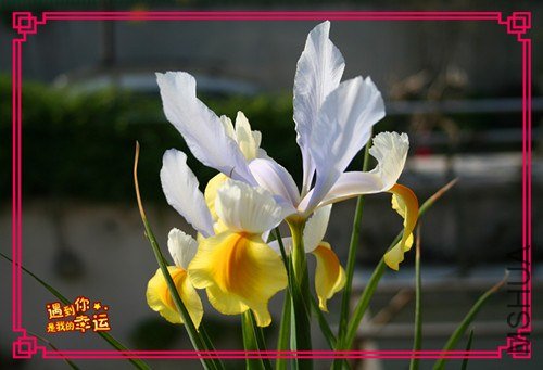 ��Ƭ 002_����.jpg