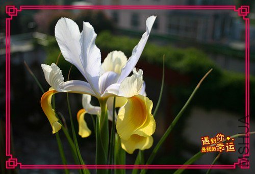 ��Ƭ 005_����.jpg