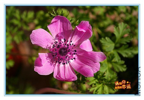 ��Ƭ 009_����.jpg