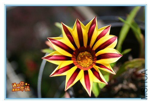 ��Ƭ 089_����.jpg