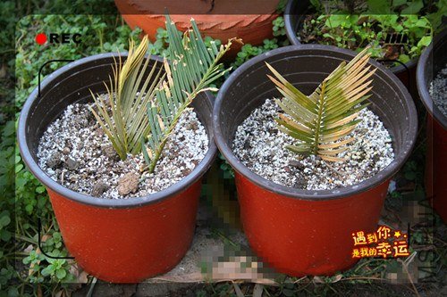 ��Ƭ 132_����.jpg