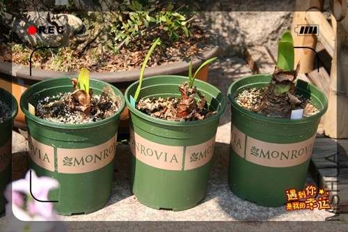 ��Ƭ 128_����.jpg