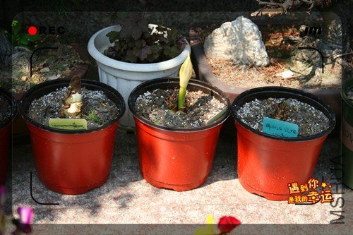 ��Ƭ 129_����.jpg