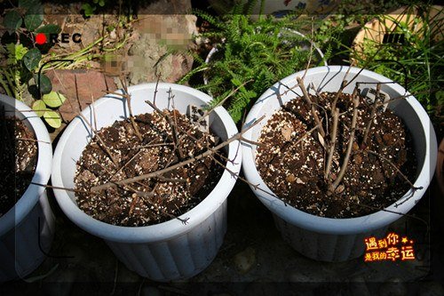 ��Ƭ 131_����.jpg