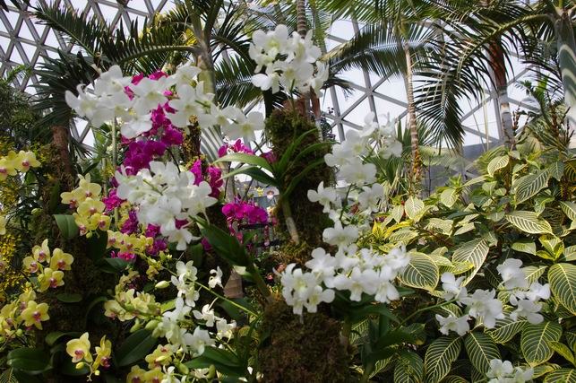 ������С IMGP1388.JPG