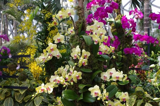 ������С IMGP1390.JPG