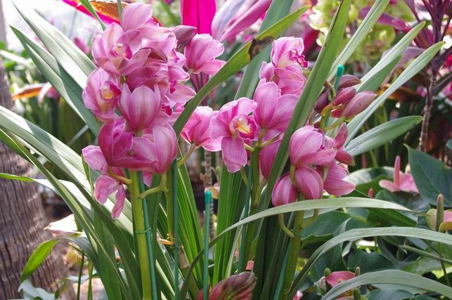 ������С IMGP1391.JPG