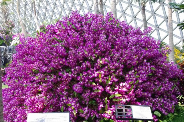 ������С IMGP1393.JPG