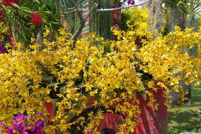 ������С IMGP1395.JPG