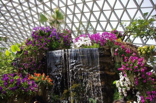 ������С IMGP1397.JPG