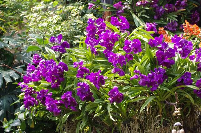 ������С IMGP1398.JPG