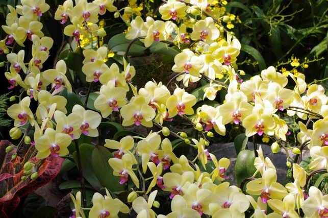 ������С IMGP1399.JPG