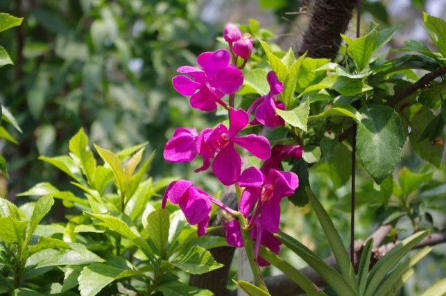 ������С IMGP1402.JPG