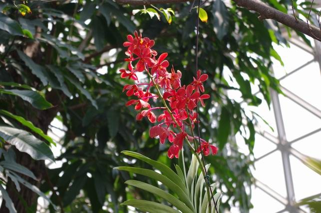 ������С IMGP1406.JPG