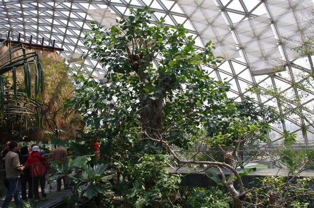 ������С IMGP1407.JPG