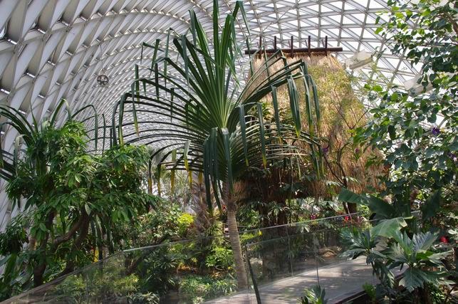 ������С IMGP1409.JPG