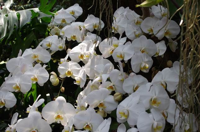 ������С IMGP1411.JPG