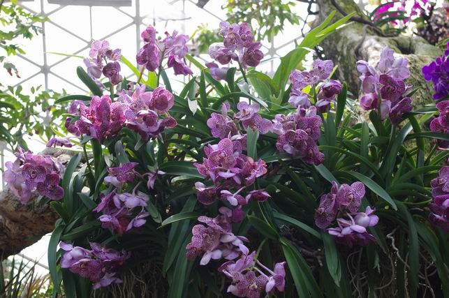 ������С IMGP1412.JPG