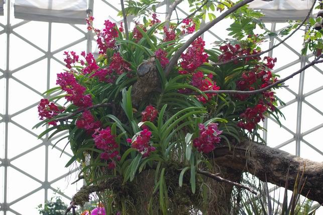 ������С IMGP1415.JPG